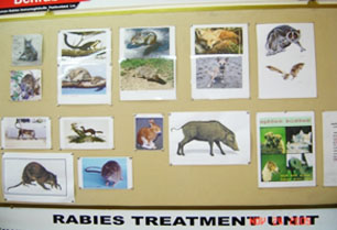 rabies-treatment-unit